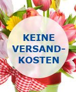 versandkostenfrei