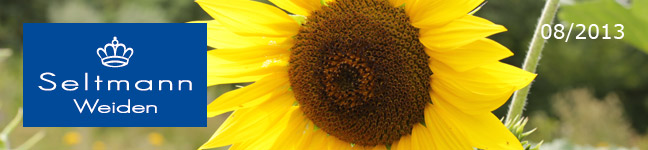 Newsletter 2013-08