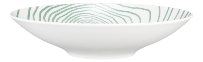 Seltmann Weiden Life Pasta-/Suppenteller 23 cm Nature Jahresringe grün