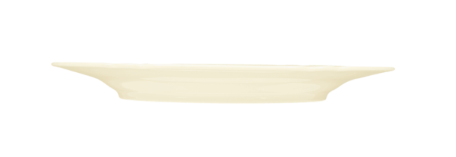 Seltmann Weiden Marie-Luise Frühstücksteller 20 cm elfenbein