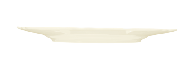 Seltmann Weiden Marie-Luise Kuchenplatte mit Griff 27 cm elfenbein