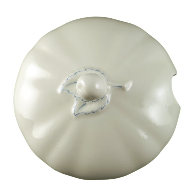 Seltmann Weiden Marie-Luise Deckel zur Terrine 12 Personen Streublume blauer Rand
