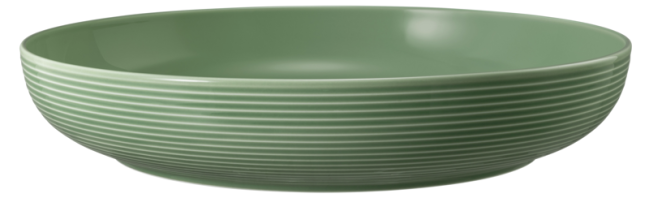 Seltmann Weiden Beat Foodbowl 28 cm Color Glaze Salbeigrün