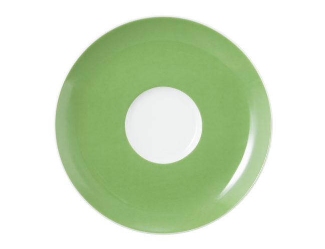 Seltmann Weiden Liberty Kombi-Untertasse groß 16,5 cm Meadow Grasses green