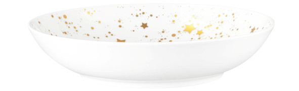 Seltmann Weiden Liberty Suppenteller rund 21 cm Golden Stars