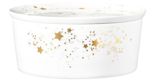 Seltmann Weiden Liberty Schale rund mit Deckel 21x9 cm Golden Stars