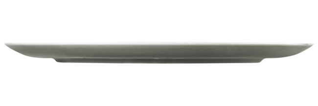 Seltmann Weiden Terra Speiseteller rund 31 cm Perlgrau uni