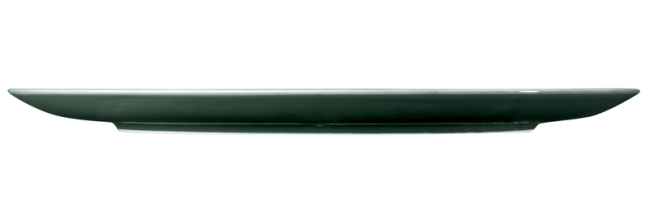 Seltmann Weiden Terra Speiseteller rund 31 cm Moosgrün uni