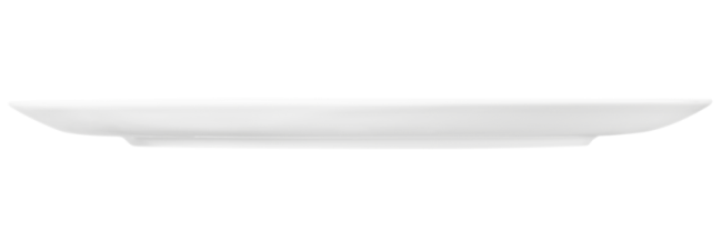 Seltmann Weiden Terra Speiseteller rund 31 cm weiß uni