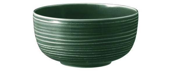 Seltmann Weiden Terra Foodbowl 17,5 cm Moosgrün