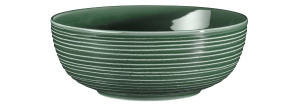 Seltmann Weiden Terra Foodbowl 20 cm Moosgrün