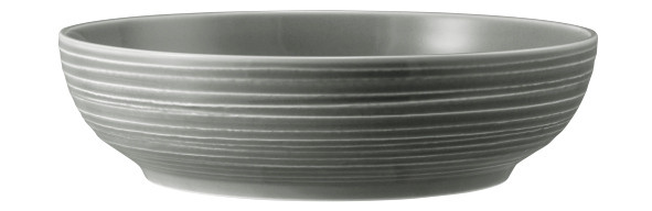 Seltmann Weiden Terra Foodbowl 25 cm Perlgrau