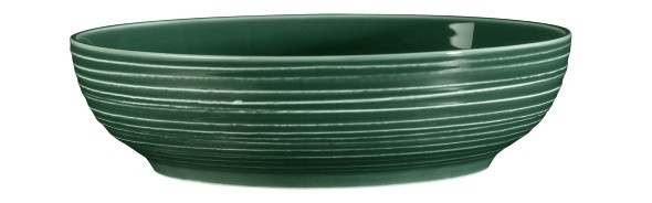 Seltmann Weiden Terra Foodbowl 25 cm Moosgrün