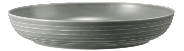 Seltmann Weiden Terra Foodbowl 28 cm Perlgrau