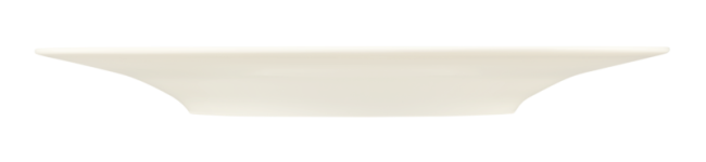 Seltmann Weiden Zoé Speiseteller rund 27,5 cm fine diamond uni