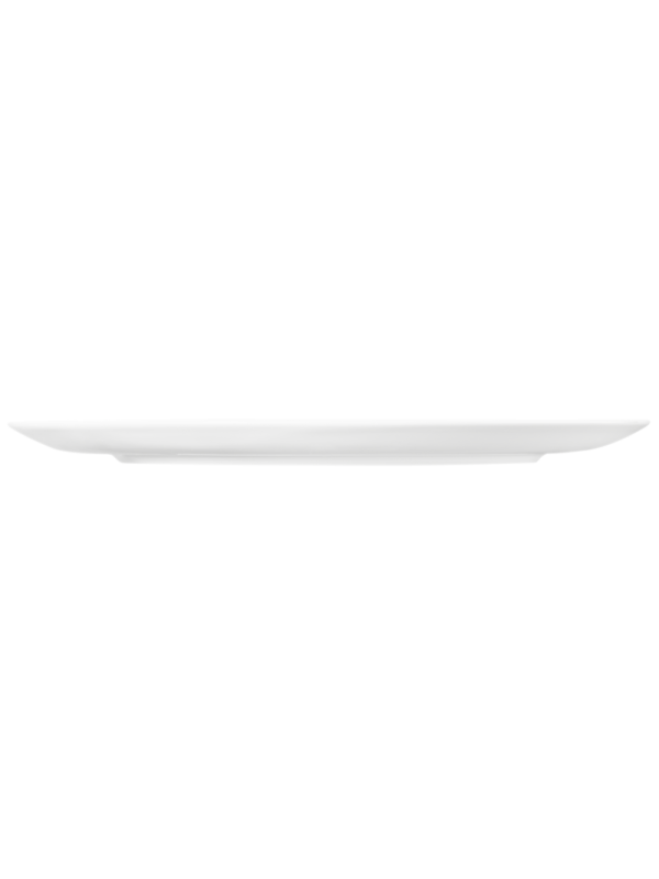 Terra Speiseteller rund 31 cm weiß uni