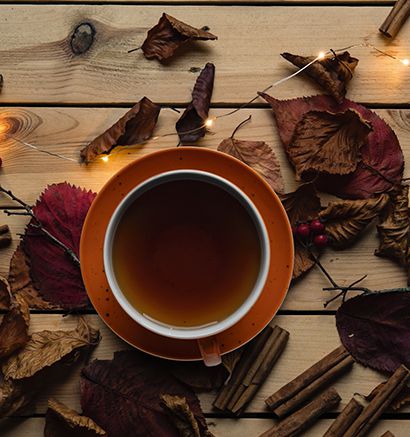 Herbstdekore im Seltmann Weiden Shop